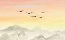 一份收录了许多好听狗狗英文名字的清单,助您为您的宠物狗起个迷人而有格调的名字