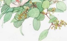 如何找到一个好听的解说名字?