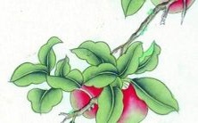 探究五行缺乏金和土元素的情况下,最有效的字诀补益方法