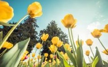 终止一切并离开的网名:决定结束一切,跨越不归之路