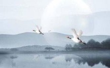 具备美丽名称的非常漂亮的植物种类