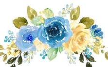 对于那些出生于属虎年份的宝宝,有哪些适合选取的名字呢?