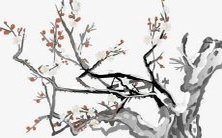 年度热门名字排行榜,揭秘最受欢迎的金姓女孩名字!