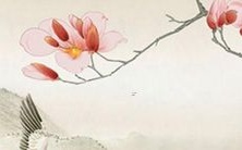 给男孩女孩选择一个美妙动听的名字,让他们开启自己的人生新篇章!