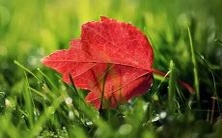 的含义是什么?为什么会做这样的梦?我们该如何解释和处理这种梦境?