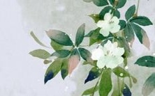 八字取名大师提供免费取名、打分、预测服务!