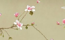 2022年出生的男虎宝宝,将被命名为姓张的名字