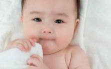 有哪些与雅相配的字可以组成漂亮的姓名呢?
