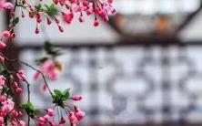 免费测试新生儿取名评分系统,为宝宝命名提供专业指导和建议