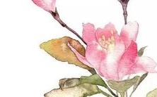 居然不止是电影!探究背后的真实人生——走进那些让你所不知的纪录片世界