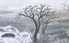 2022年生肖虎运势未嘉但可转运,需警惕健康和财富方面的困扰与挑战