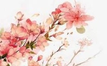 超级可爱好听的女生名字大全,你绝对不能错过!