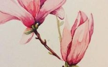 游戏中可爱迷人的女性角色名字推荐,这些名字多少会让你看到角色时身临其境,并且忍不住向她们致以欣赏和赞赏的目光