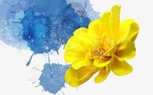 如何取一个好听且独特的洗车场名称?