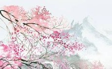 在选择适合生肖虎宝宝的名字时,有哪些方面需要考虑?