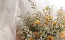 哪个星座男性最有可能成为书呆子?