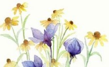 令人陶醉的神秘地区名称,让您心生向往