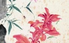 精选出来的全球最优秀听的狗狗名称,不容错过!