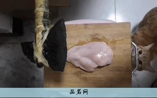 玄空风水排盘软件
