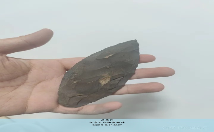 玄空风水排盘软件