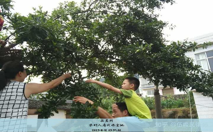 农村人看风水宝地, 乡下最好的风水宝地