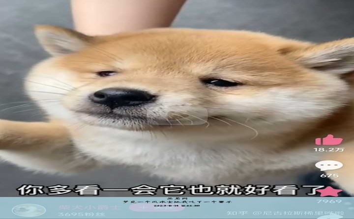 梦见一个风水宝地我吃了一个果子, 梦见别人给我果子吃是什么意思