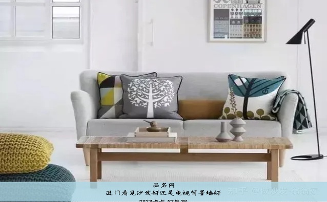 进门看见沙发好还是电视背景墙好