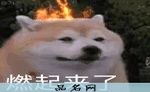 九零后风水师