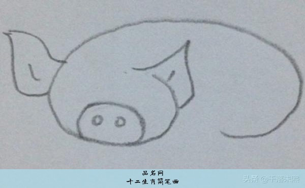 十二生肖简笔画