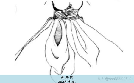 婚纱手绘