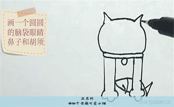 画100个呆萌可爱小猫