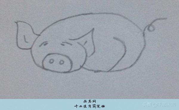 十二生肖简笔画