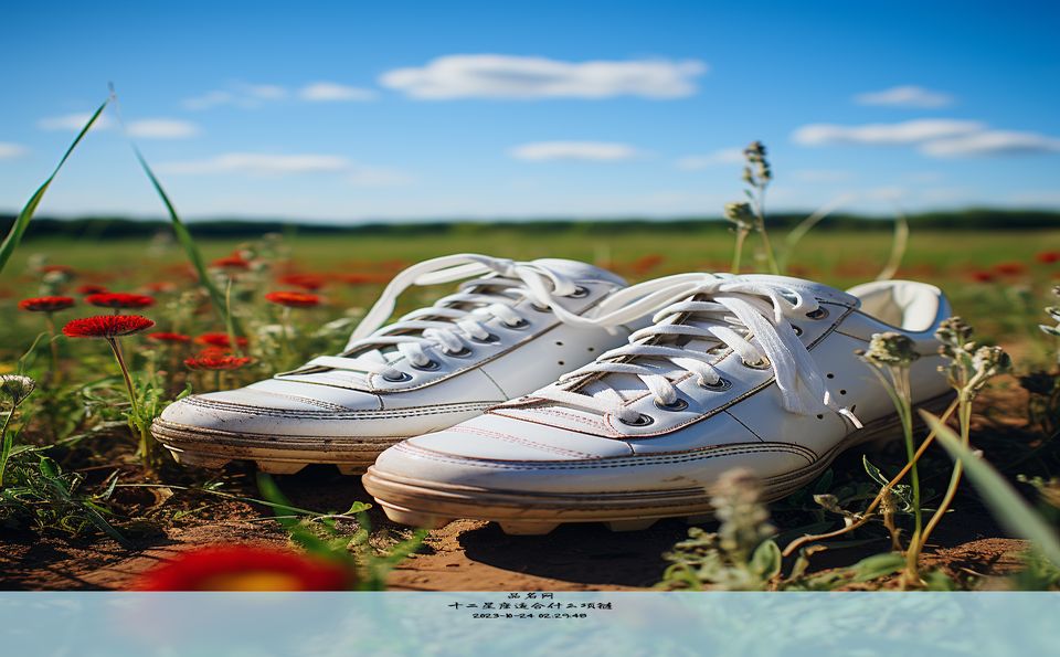 十二星座适合什么项链