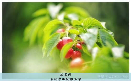 古风带雨优雅名字
