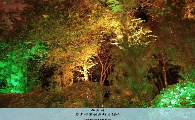 名字难写的字却又好听