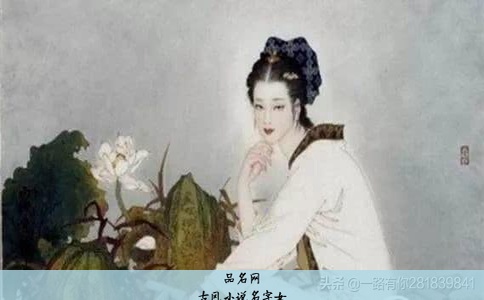 古风小说名字女