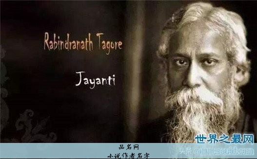 小说作者名字