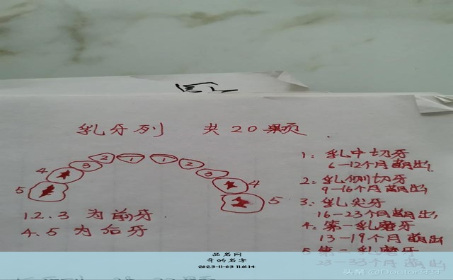 牙的名字