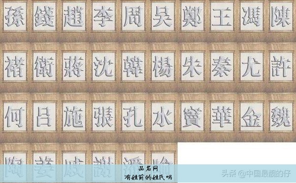 有姓前的姓氏吗