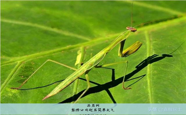 装修公司起名简单大气