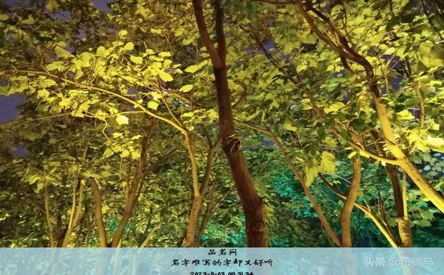 名字难写的字却又好听