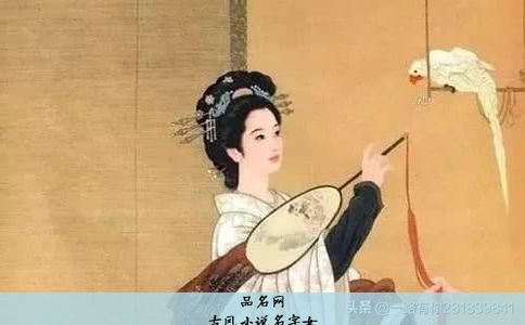 古风小说名字女