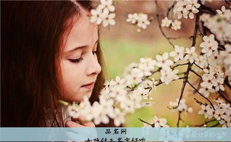 好听女孩名字