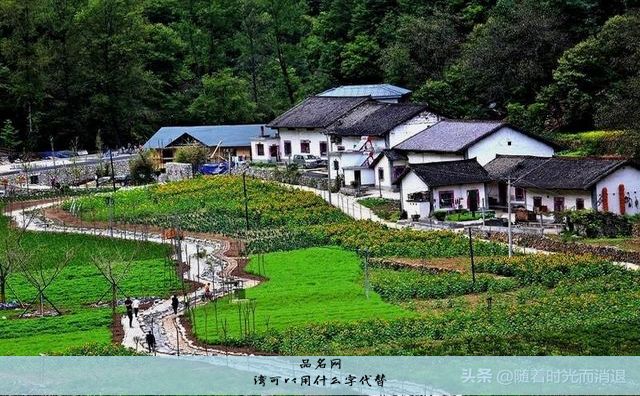 湾可以用什么字代替
