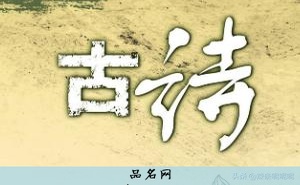 鞋店名字大全