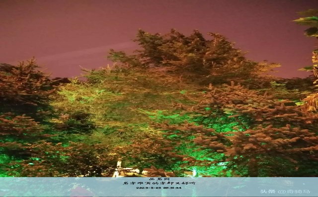 名字难写的字却又好听