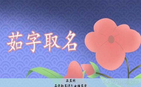 茹字取名洋气女孩名字