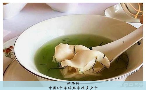 中国4个字的名字有多少个