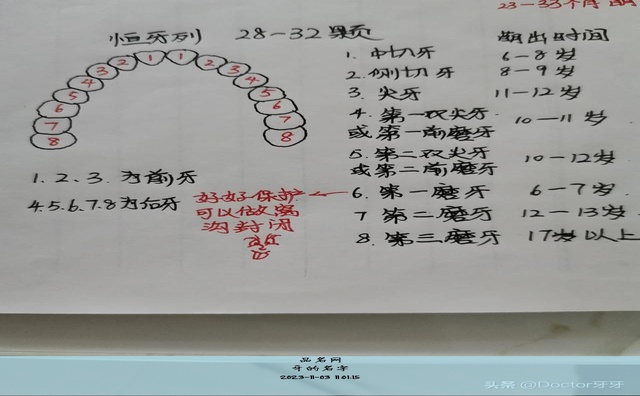 牙的名字