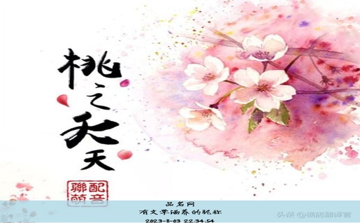 有文学涵养的昵称